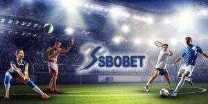 Điểm nổi bật của Sbobet